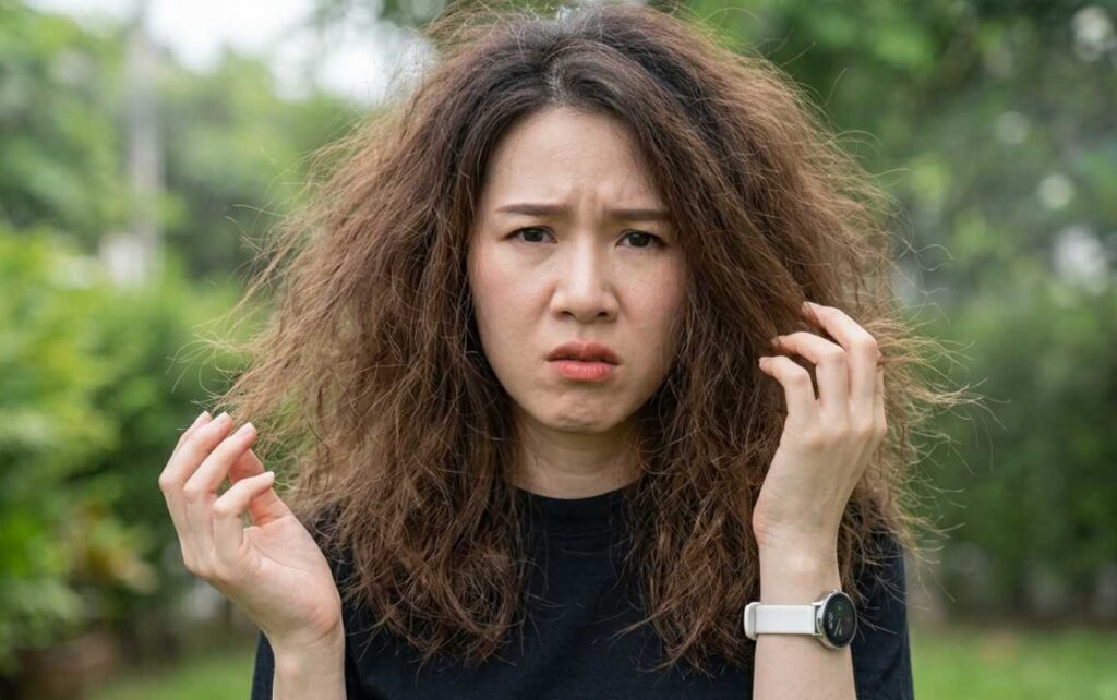 Weather and Humidity Effects